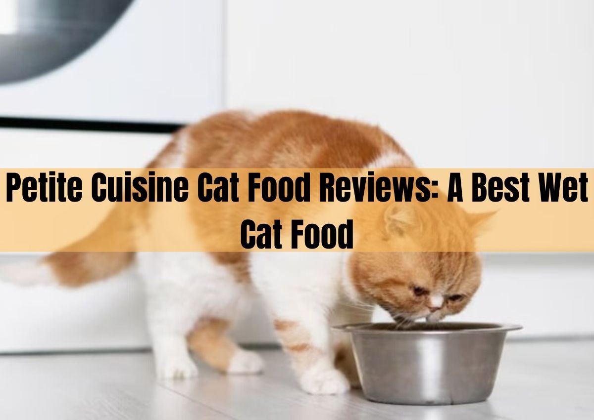 petite cuisine cat food reviews