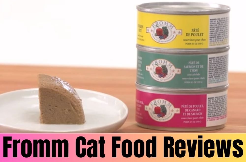 fromm cat food reviews