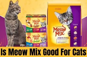 is meow mix good for cats