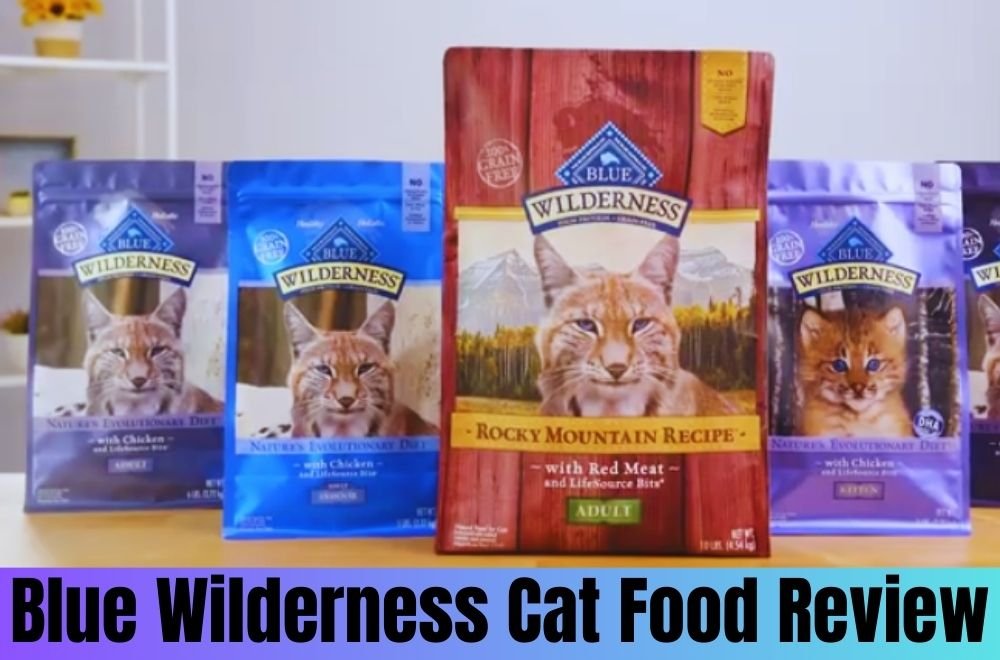 blue wilderness cat food review