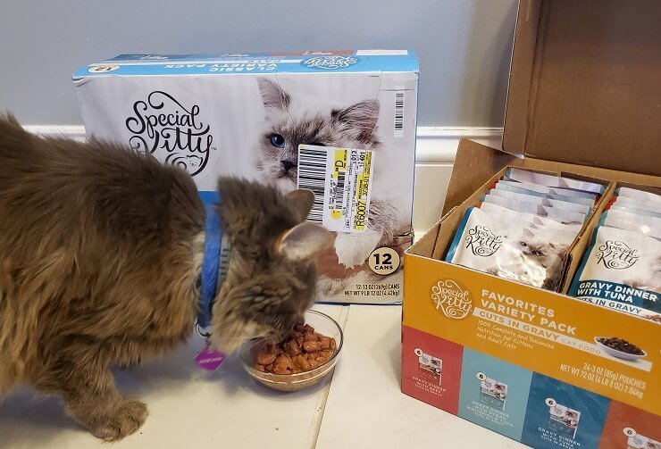 special kitty cat food reviews