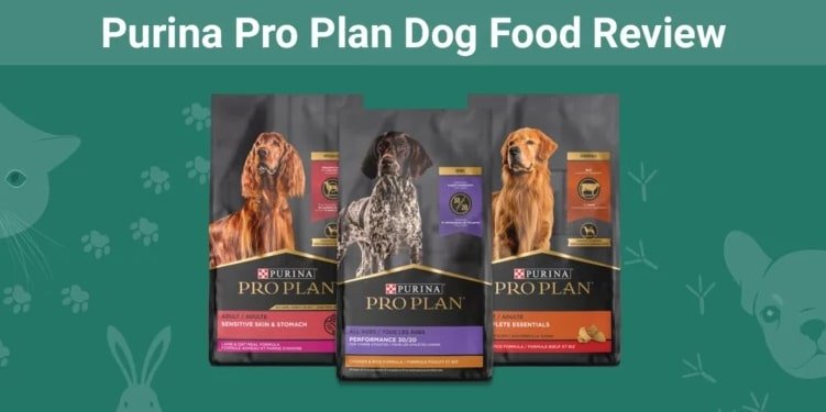 purina pro plan puppy review