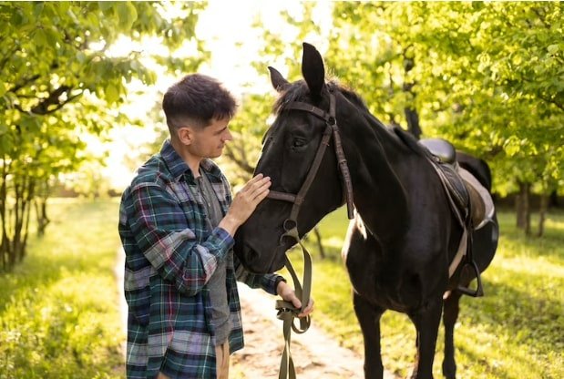 New Horse Owners
