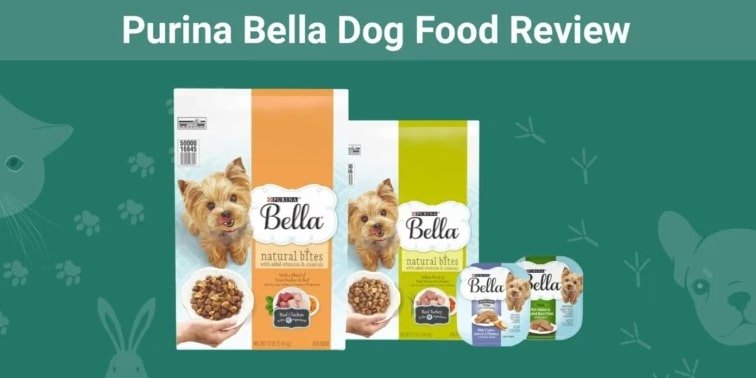 is purina bella wet food good for dogs