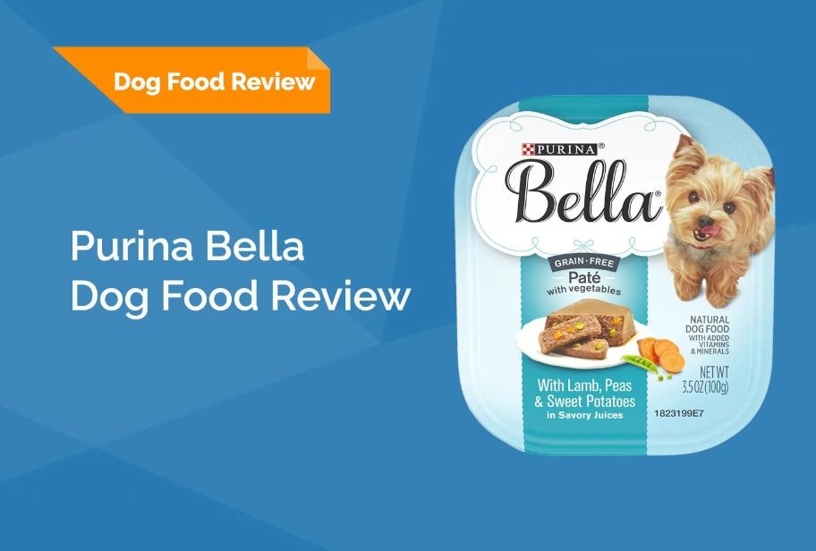 is purina bella wet food good for dogs