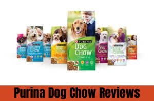 purina dog chow reviews