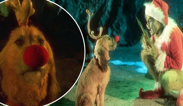 what dog breed is max from the grinch