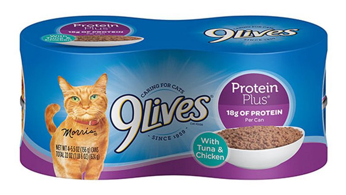 9 lives wet cat food review
