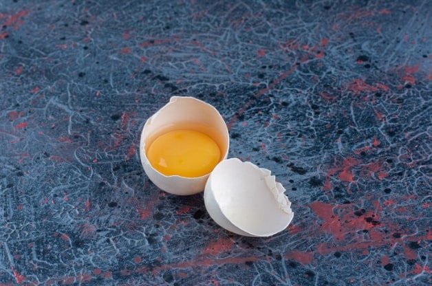 can dogs eat raw eggs