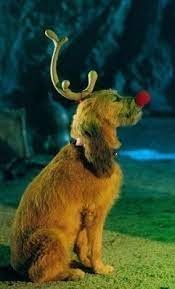 what dog breed is max from the grinch