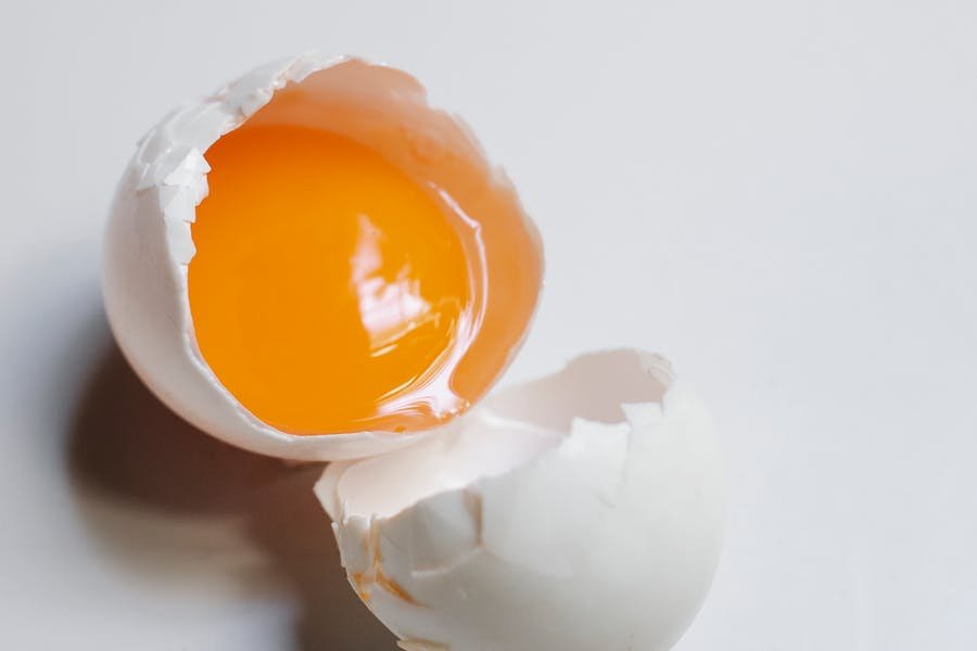 can dogs eat raw eggs