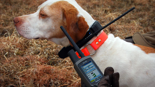 Garmin