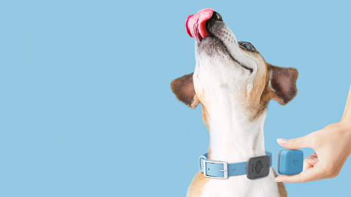 Whistle FIT 