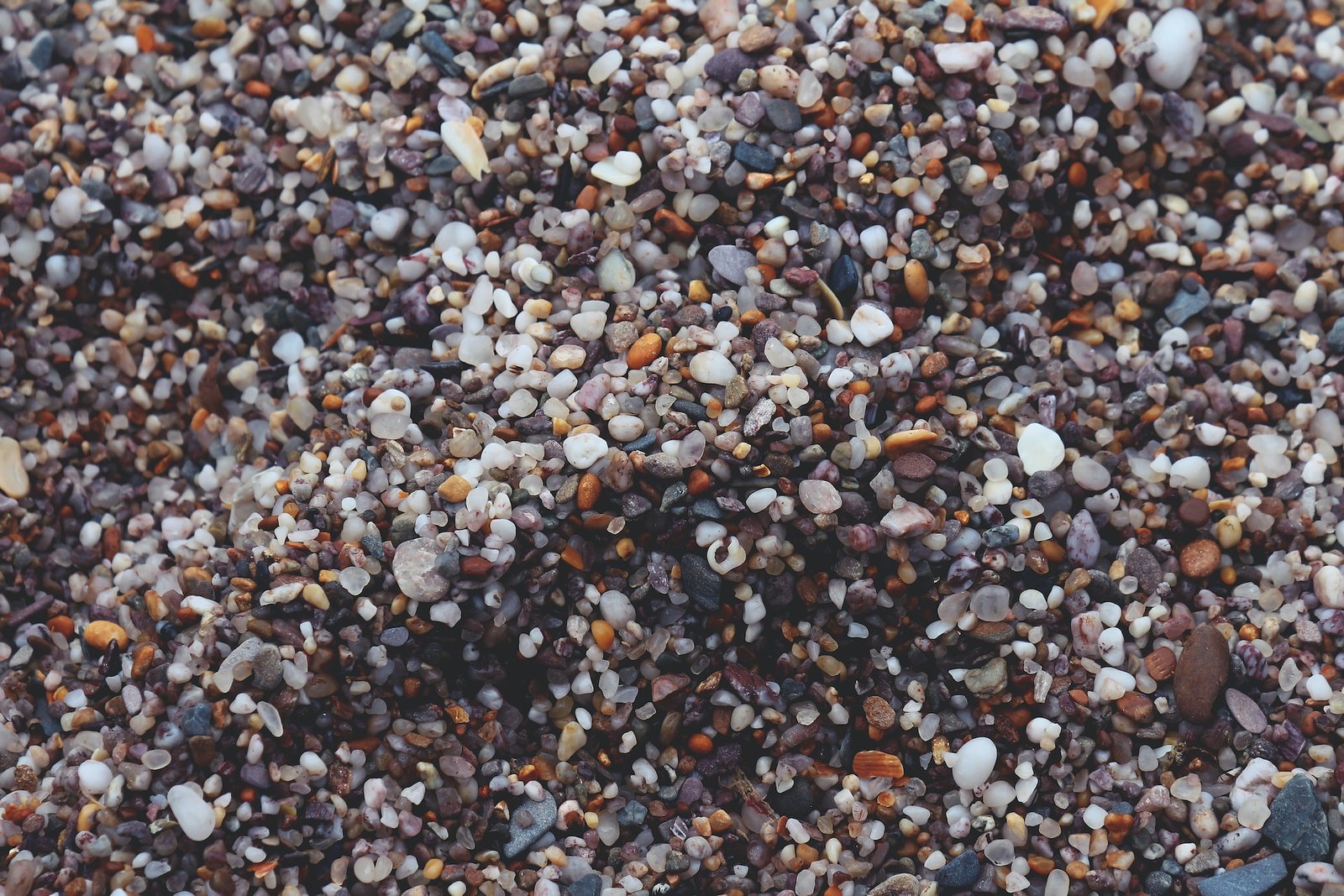 Considerations When Using Pea Gravel for Dog Runs