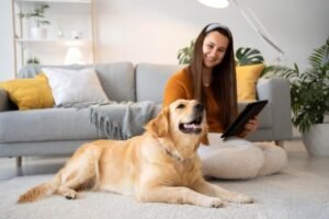 Aging Pets