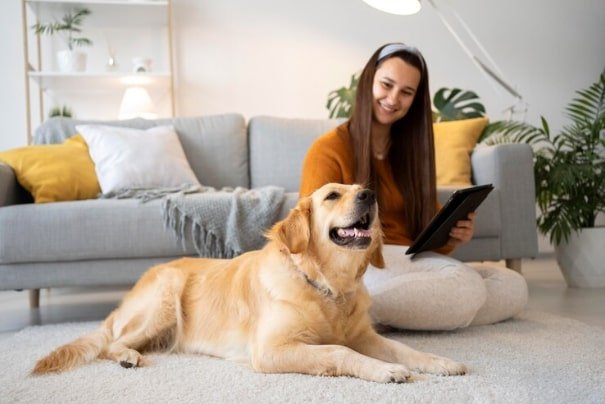 Aging Pets
