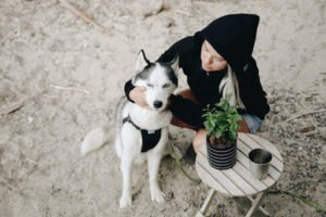 Best Pet Daycare