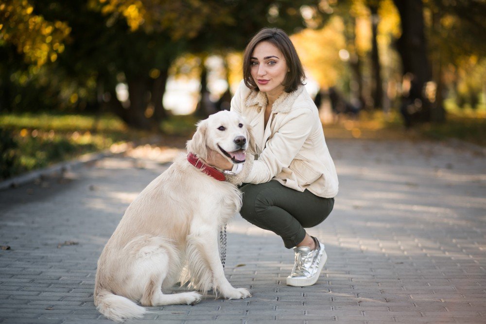 Animal Protection Laws